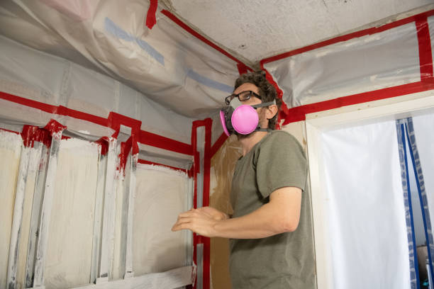 Best Black Mold Removal  in Wellsville, KS